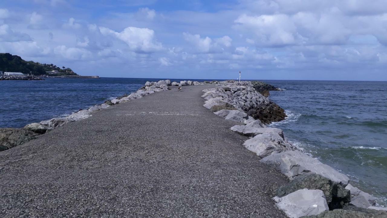Les Hirondelles 2Km De La Plage-Jardin-Wifi-Parking-Draps Et Serviettes Hendaye Exteriér fotografie